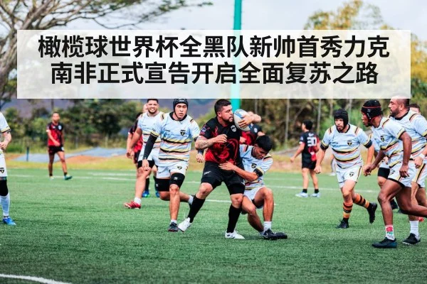 橄榄球世界杯全黑队新帅首秀力克南非正式宣告开启全面复苏之路
